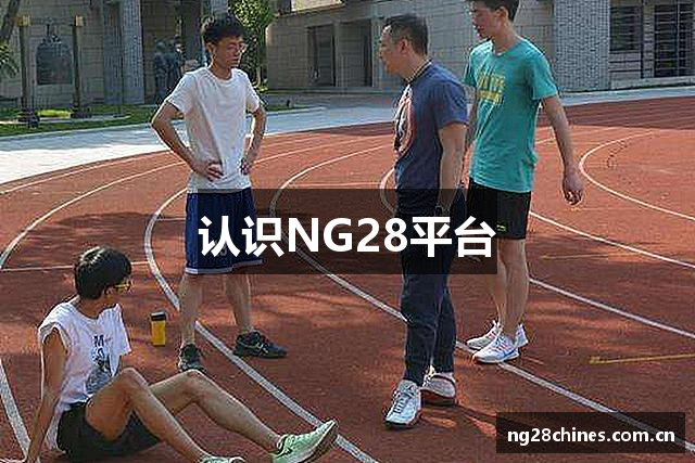 认识NG28平台